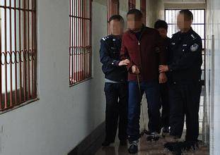 胡场镇人口_人口普查图片(3)