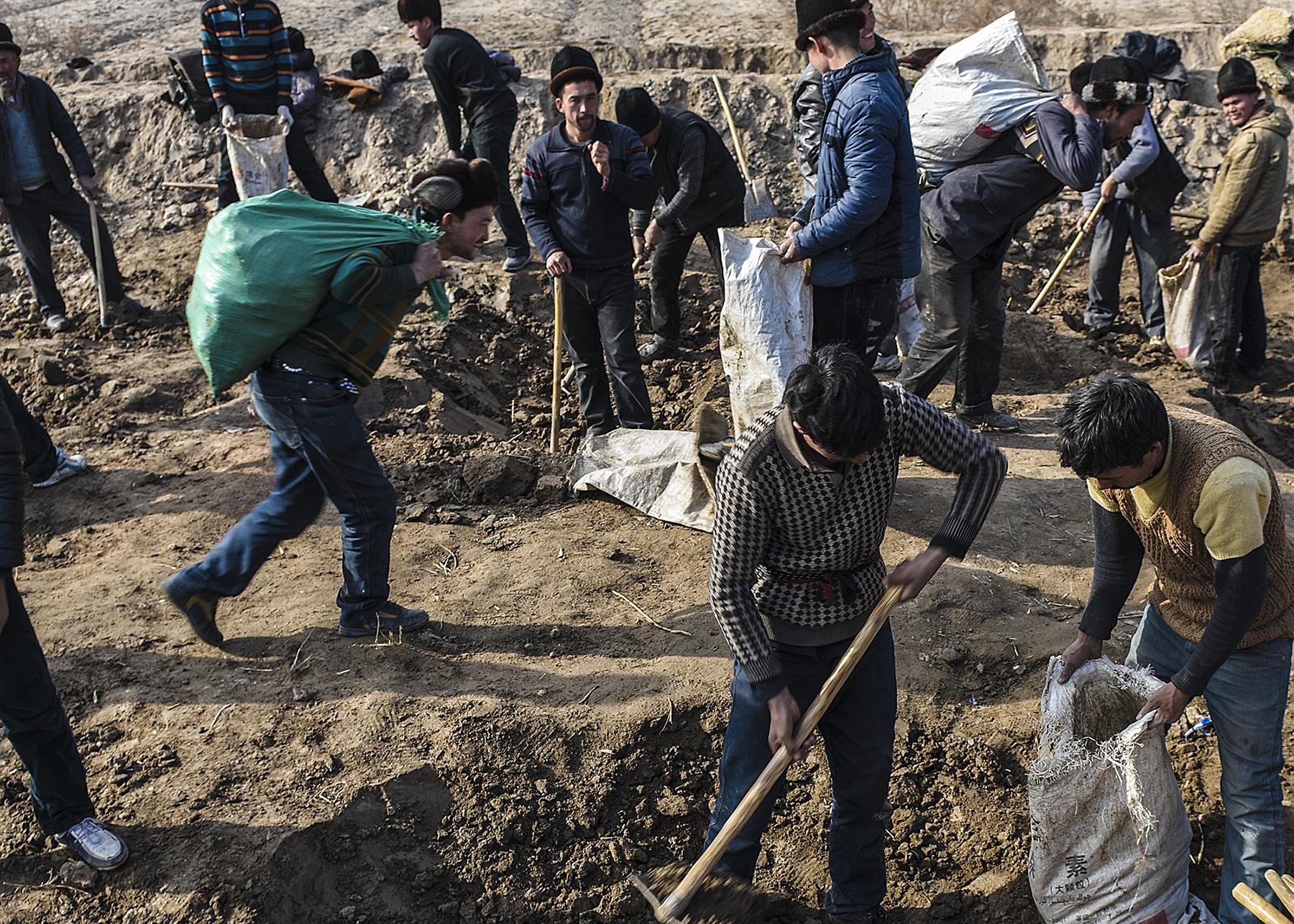 1月15日,新疆喀什地区英吉沙县67岁的维吾尔族农民买买提·托依提(右)图片