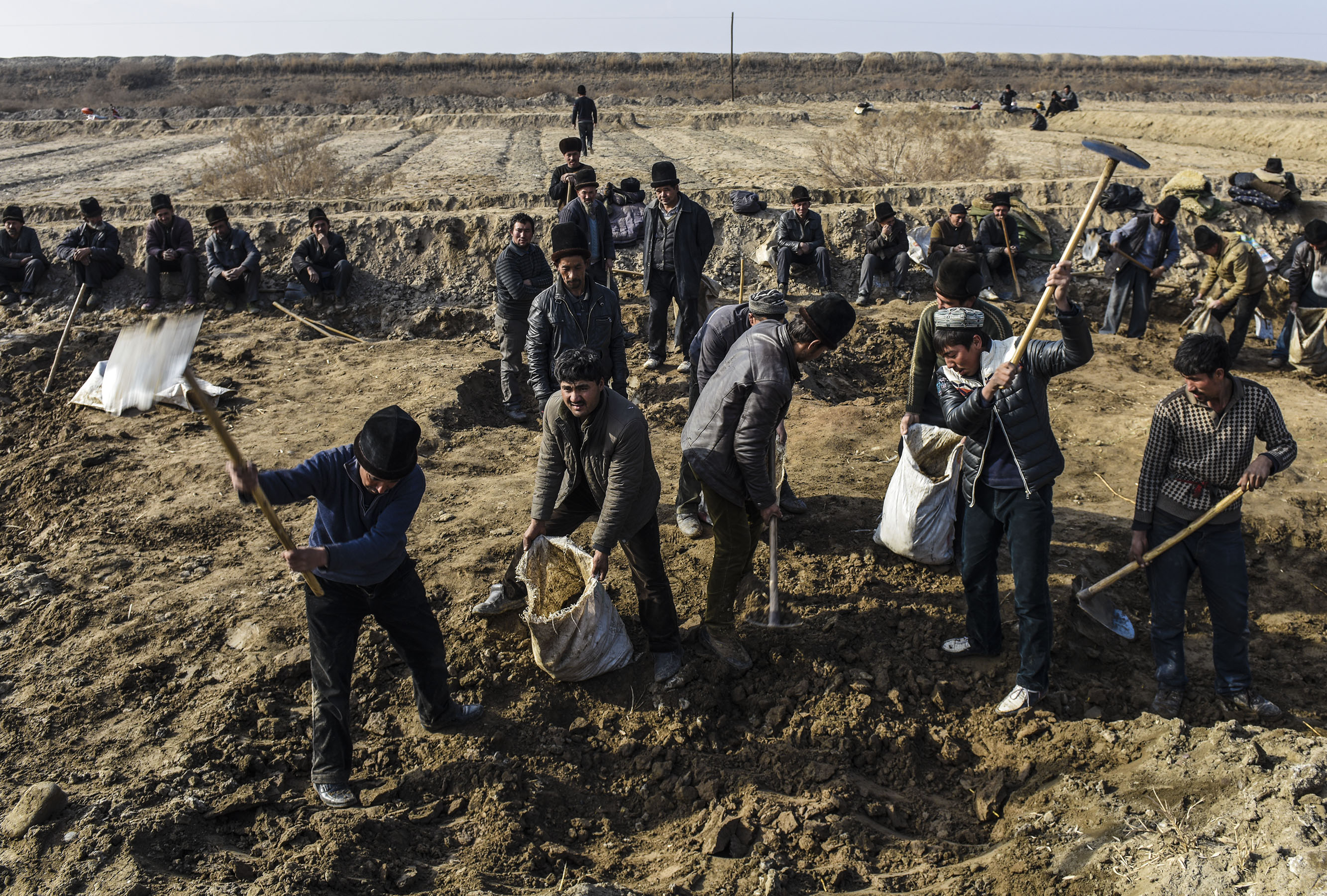 精彩推荐(组图)1月15日,新疆喀什地区英吉沙县67岁的维吾尔族农民
