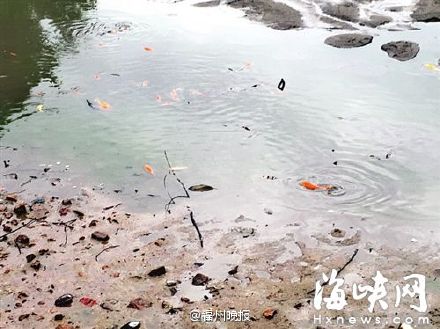 福州西禅寺放生池为修桥抽干水 锦鲤死了不少