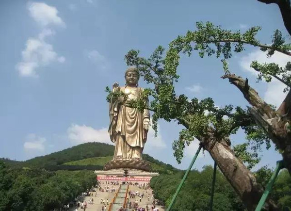 信阳灵山风景名胜区位于河南省罗山县西南部境内,含六大景区:灵山寺