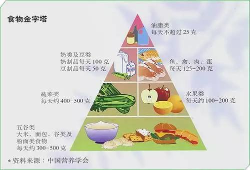 食物金字塔 (供图/齐美玉珍)   本期推荐