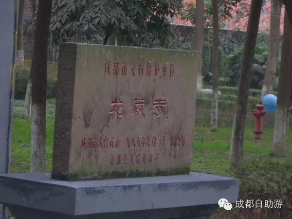 ɶ¶··86