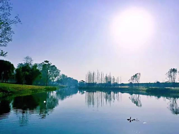 喜讯丨青莲国际诗歌小镇力压群雄,一举夺得中国旅游业