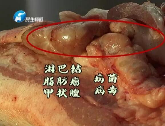 郑州市面包子饺子用料或为"血脖肉"