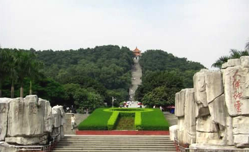 凤凰山风景游览名胜区位于宝安区福永镇凤凰村的凤凰山.