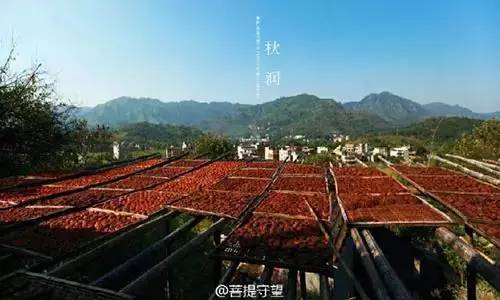 永泰梧桐镇
