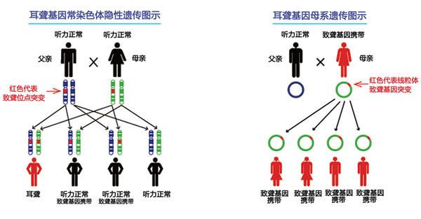 遗传基因演算法