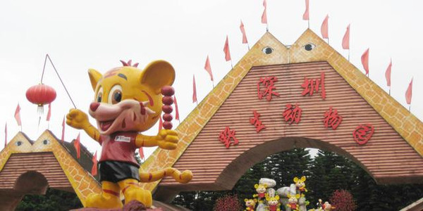 歌谱 万家灯火 廖昌永-深圳野生动物园是中国第一家放养式野生动物园,建于山清水秀的深圳