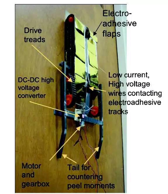 5款顶尖的爬墙机器人,cute到不行呀!