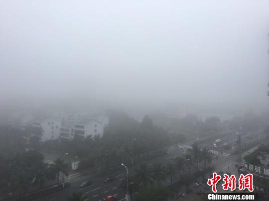 海口21日上午出现大雾天气，交通受到一定影响，城区能见度很低。 王子谦 摄