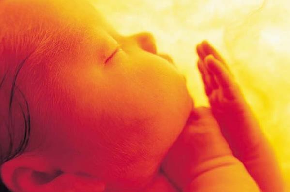 孕中期和胎动中二宝的小互动