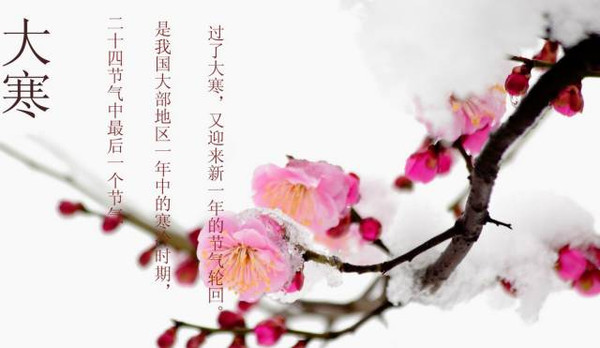 【桃李菜谱】春节年夜饭厨艺,团圆饭菜谱大全吃乳酪披萨会胖吗图片