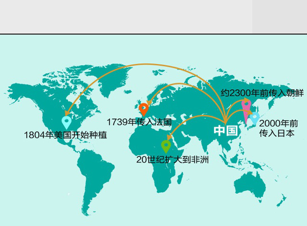 世界经济总量最大的三个国家_世界最大最长阴荃(2)