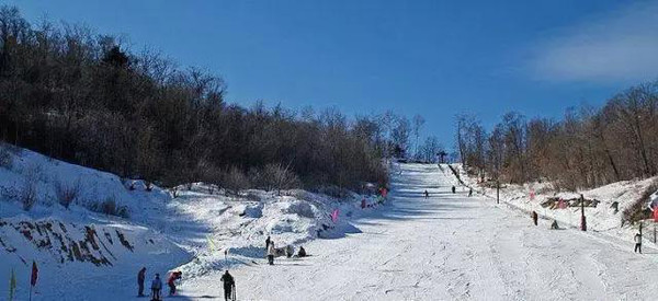 旁友,要不要到大连来一场紧张又刺的滑雪之旅?