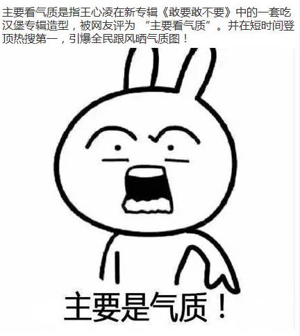 【2015年流行语】2015年过去了02不过它留下的痕迹!