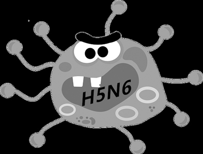 H5N6禽流感:不是新病毒 未见人传人