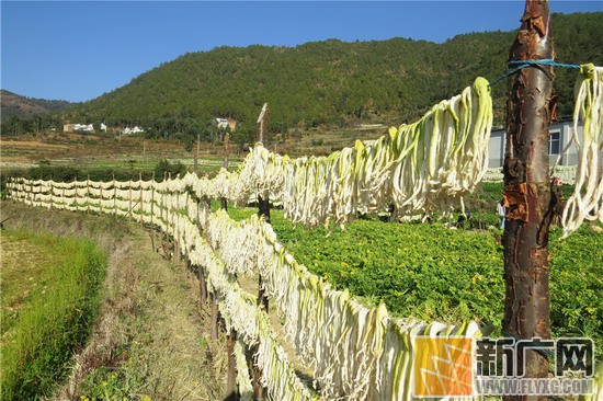 宛若一条条白帘挂在青山绿水间,一群群彝族群众或洗萝卜,或晾晒萝卜条