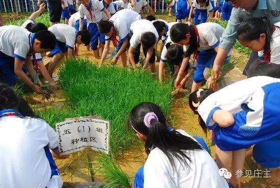 遍地是休闲农庄究竟啥开云 开云体育官网是休闲农庄？(图11)