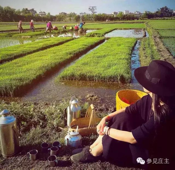 遍地是休闲农庄究竟啥开云 开云体育官网是休闲农庄？(图14)