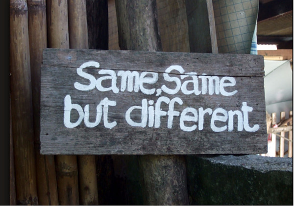 "  same same but different "