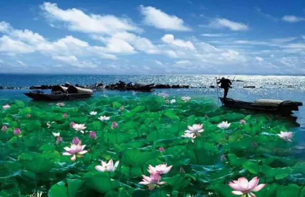【荆 州】 景点:乌林历史名胜风景区,白鳍豚自然保护区,洪湖湿地自然