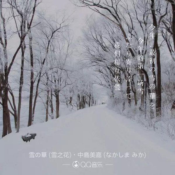 成多个版本 比如韩雪的《飘雪,韩剧《对不起我爱你》里的《雪之花》