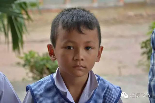 泰国5岁男童开挖掘机 是蓝翔学的吗