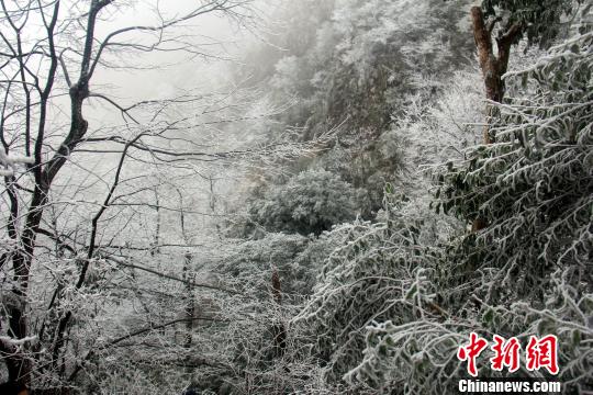 “广东第一险峰”粤北金子山一夜“飞雪来”(图)