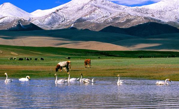 新疆最美的地方排行榜!
