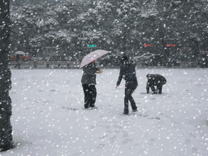 了!而且还是鹅毛大雪