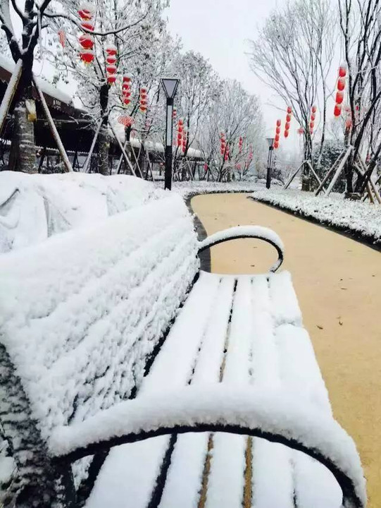 网友手拍重庆主城雪景 (来自:大渝网综合)