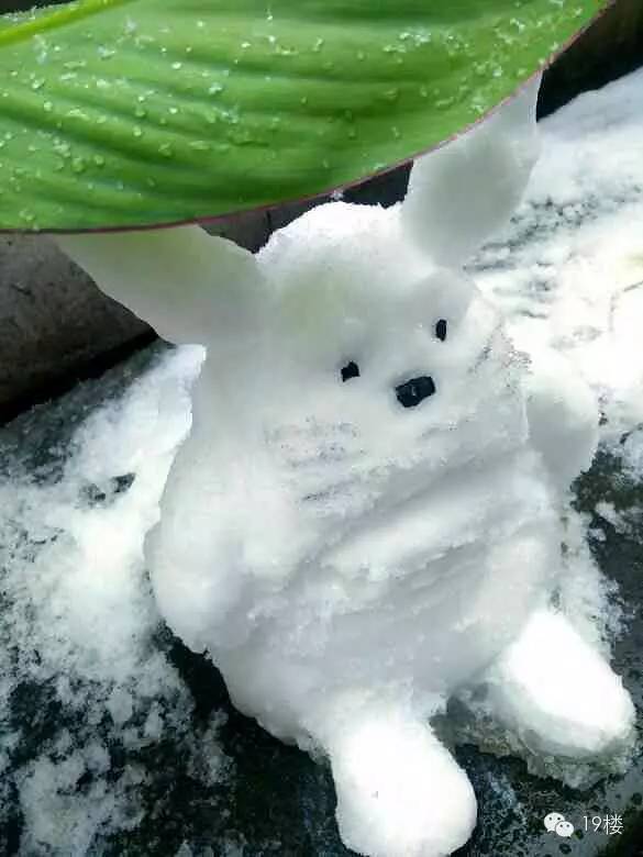 今天好多人在杭州看到了富士山,网上掀起了雪人斗丑大赛.看跪了!