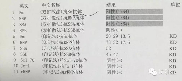 如何才能读懂你我的抗核抗体丨一页手册协和八