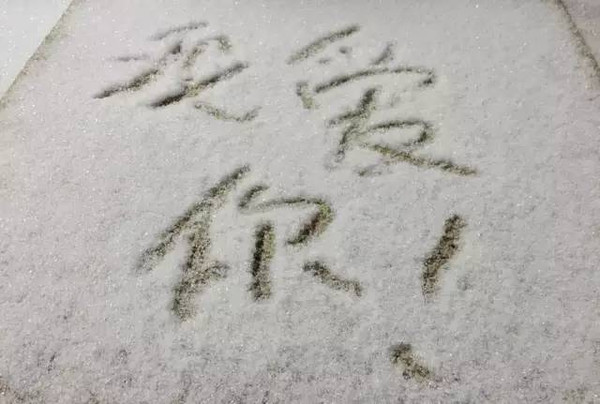 下雪了!进来体验一下