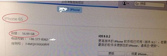 苹果6s也有假!连接iTunes、查序列号显示6s都