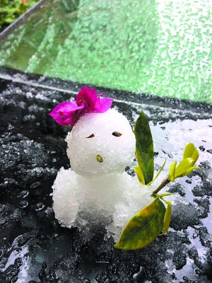 看我的花花萌不萌?