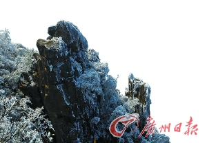 金子山壮丽奇特的雪冰景色,让广东雪景并不逊色于外省。