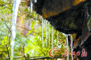 金子山壮丽奇特的雪冰景色,让广东雪景并不逊色于外省。