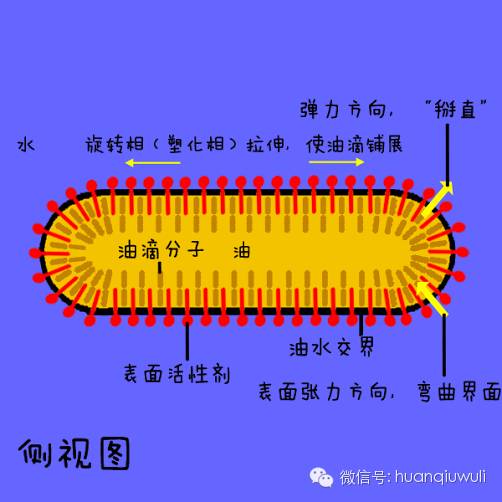 作者制图旋转相的弹性张力会要求油水界面沿着直线排列下去.