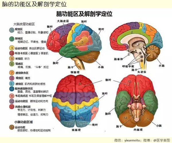 【答案】b【答案解析】试题分析:a选项与题意不符,大脑越用越灵,"用"