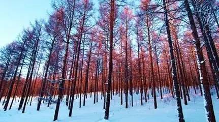 心有甘霖,坚毅远行,大山妻子甘霖图片,远行的孩子 稿件,事无所祈心有坚毅,十八岁出门远行赏析,远行星号船体编辑器