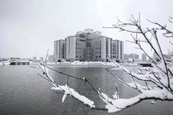 13人眼中的超级寒潮最美极景,超级寒潮浙江桐乡,超级大寒潮,浙江气象台强寒潮和大雪预报,浙江气象寒潮路径图,全国寒潮疯狂