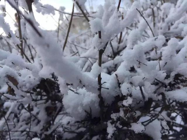 13人眼中的超级寒潮最美极景,超级寒潮浙江桐乡,超级大寒潮,浙江气象台强寒潮和大雪预报,浙江气象寒潮路径图,全国寒潮疯狂