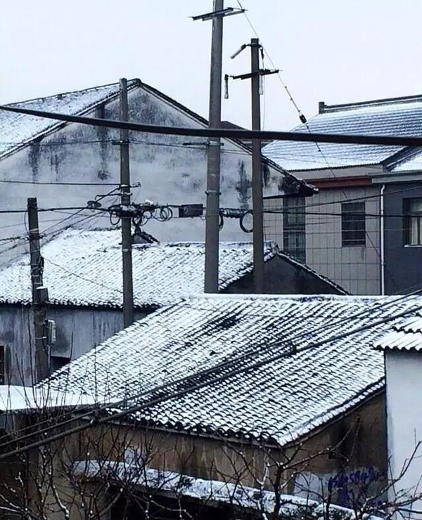 13人眼中的超级寒潮最美极景,超级寒潮浙江桐乡,超级大寒潮,浙江气象台强寒潮和大雪预报,浙江气象寒潮路径图,全国寒潮疯狂