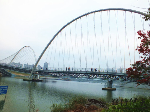 龙港大桥两岸,虽然渔村