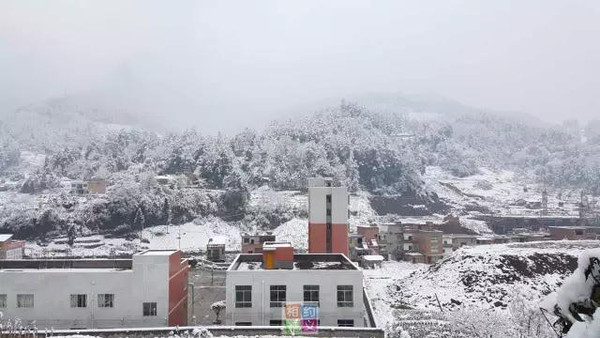 微友晒"遵义雪景"美!美!哒
