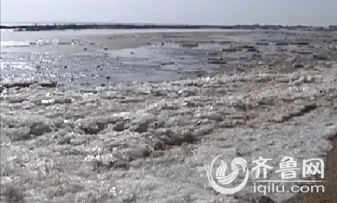 小伙遭催婚来青岛跳海 因天冷海水太冰中途放弃