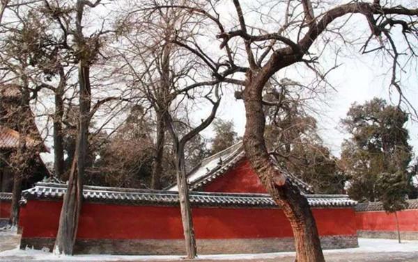 孔庙内后土祠,供孔庙土地神。