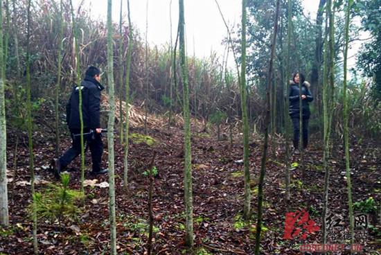 湖南一疯狗咬伤5人和近20只鸡鸭 民警当场击毙